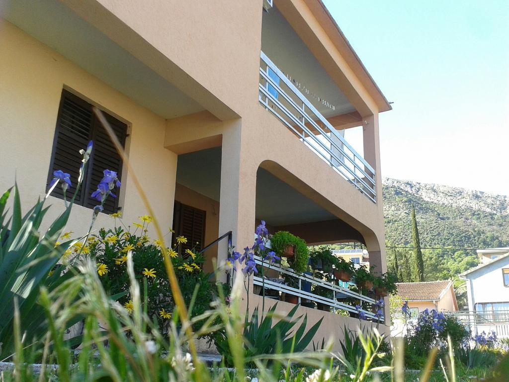 Apartment Davidovic Tivat Room photo